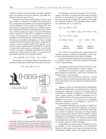 libro123-57.pdf