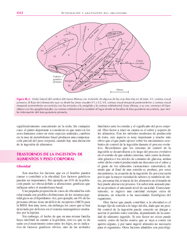 libro123-58.pdf