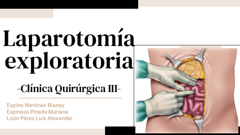 Laparotomia-Exploratoria.pdf