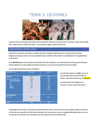 Tema-3.-Lechones.pdf