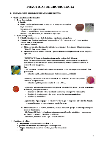 PRÁCTICAS-BASES MICROBIOLÓGICAS DE LA INFECCIÓN-2023.pdf