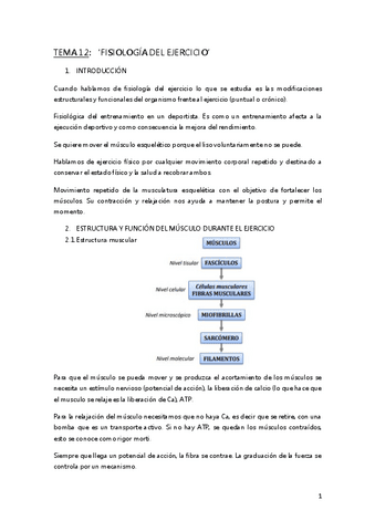 TEMA-12-F.pdf