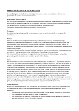 tema 1 - introducion TERMINADO.pdf