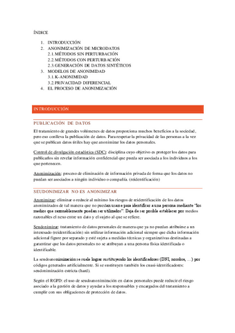 ANONIMIZACION.pdf