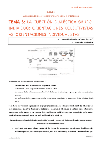 Psicologia-de-los-Grupos-Tema-3-Alba-Sancho.pdf