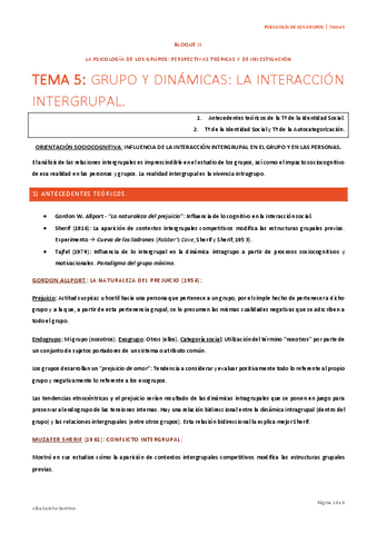 Psicologia-de-los-Grupos-Tema-5-Alba-Sancho.pdf