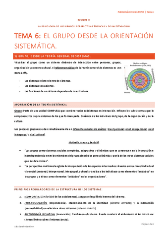 Psicologia-de-los-Grupos-Tema-6-Alba-Sancho.pdf