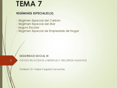 Tema-7-Regimenes-Especiales-resto-1.pdf