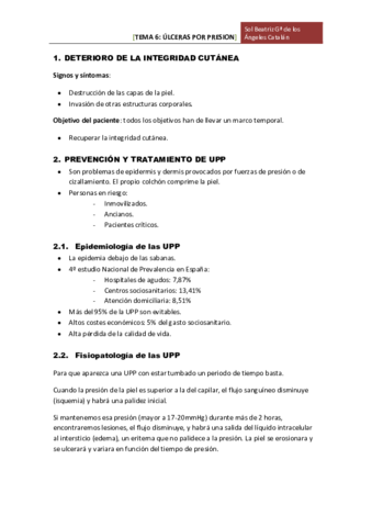 TEMA 6 UPP.pdf