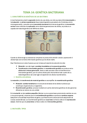 TEMA-14-BIOLOGIA.pdf