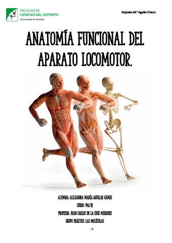 ANATOMIA-DOSIER-NOTA-9.75-ANO-2223.pdf