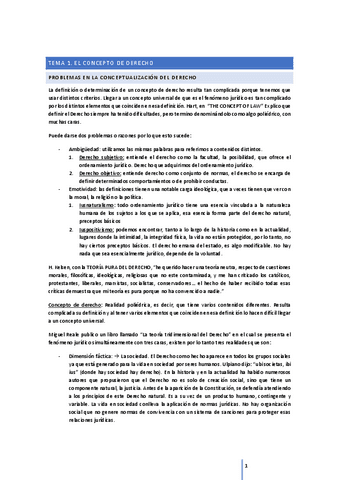 Tema-1.-Teoria-del-derecho.pdf