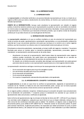 tema-13-la-representacion.pdf
