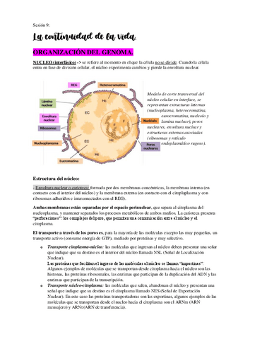 2-parcial-biologia.pdf.pdf