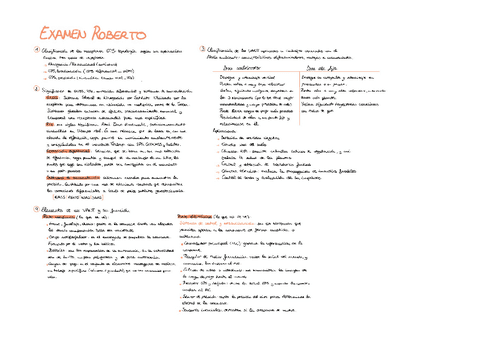 2-PARCIAL-Roberto.pdf