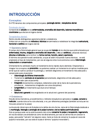Introduccion.pdf