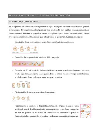 TEMA-3.3-resumenes.pdf