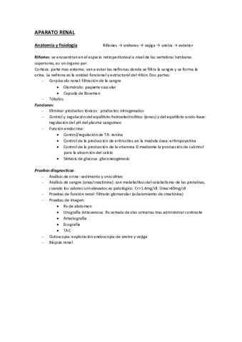 APARATO RENAL terminado.pdf