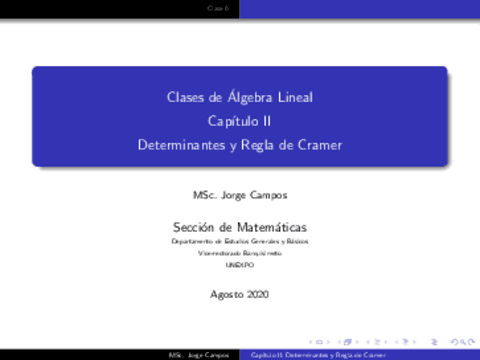 ClasesVirtualesAlgebraLinealClase6.pdf