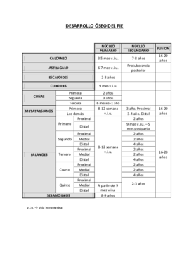 desarrollo oseo.pdf