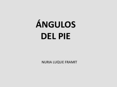 trabajo angulos del pie.pdf