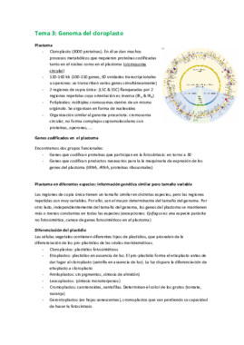 3. Genoma del cloroplasto.pdf