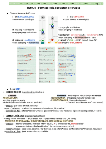 TEMA-5.pdf