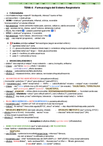 TEMA-6.pdf