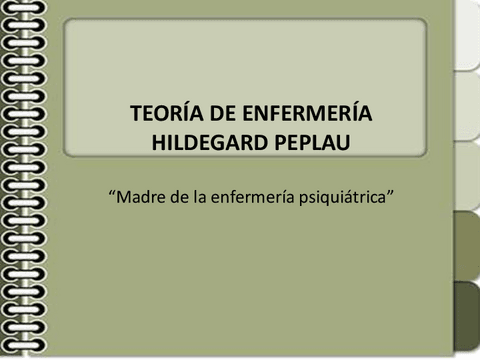 HILDEGARD-PEPLAU.pdf