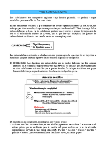 DN-TEMA-3.pdf