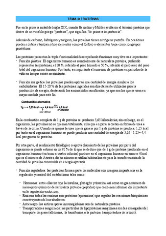 DN-TEMA-4.pdf