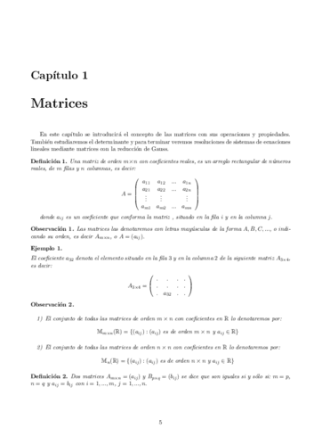 Matrices-prueba-1.pdf