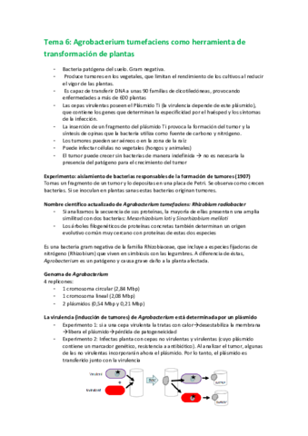 6. Agrobacterium.pdf
