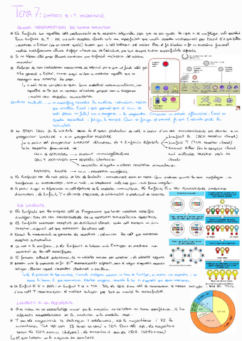 Tema-7Immuno.pdf