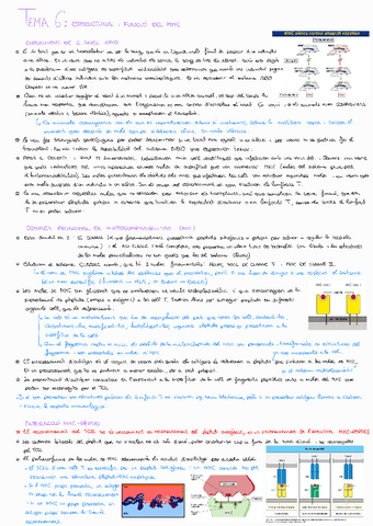 Tema-6Immuno.pdf