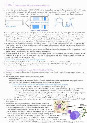 Tema-4Immuno.pdf