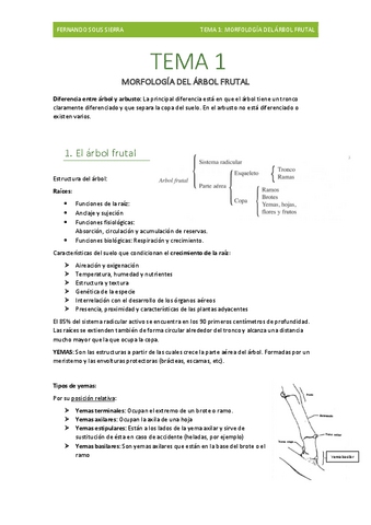 Tema-1-Morfologia-del-arbol-frutal.pdf