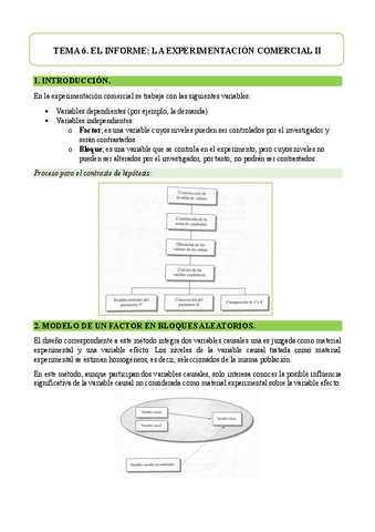TEMA-6.EL-INFORME.-LA-EXPERIMENTACION-COMERCIAL-II.pdf