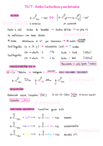 T67-Acidos-Carboxilicos-y-sus-derivados.pdf