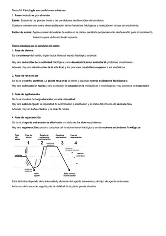 Tema-16-fv.pdf