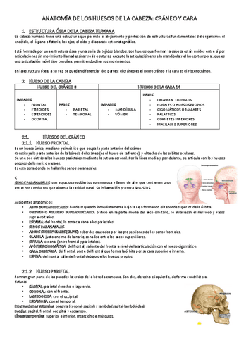ANATOMIA-DE-LOS-HUESOS-DE-LA-CABEZA.pdf