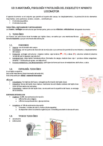 UD-3-ANATOMIA-PT1.pdf