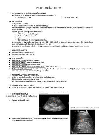 PATOLOGIAS-RENAL.pdf