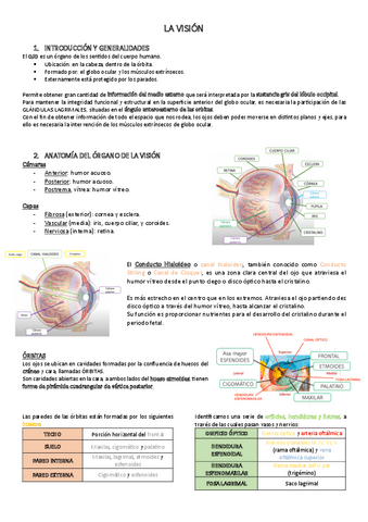 LA-VISION.pdf