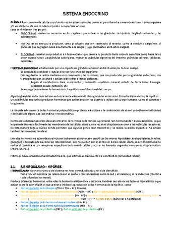 SISTEMA-ENDOCRINO.pdf