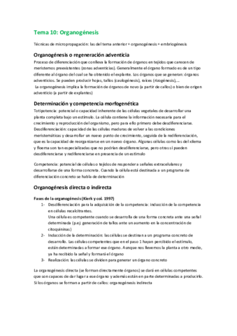 10. Organogénesis.pdf