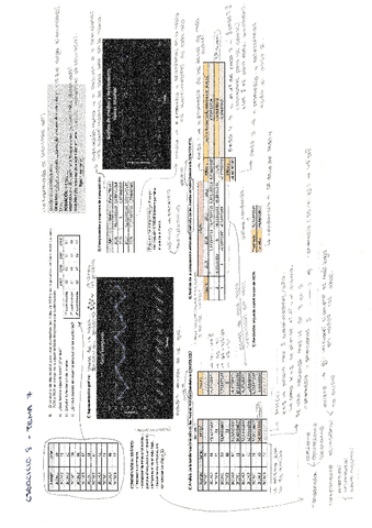 Explicacion-Ej8-T7-Estadistica-Excel.pdf