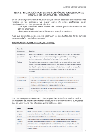 TEMA-6.pdf