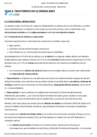 TEMA-6.-TRASTORNOS-NO-GLOMERULARES.pdf