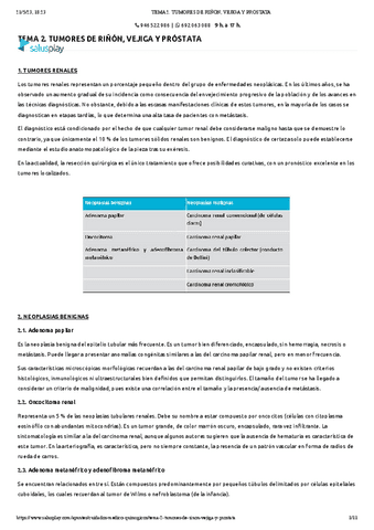 TEMA-2.-TUMORES-DE-RINON-VEJIGA-Y-PROSTATA.pdf